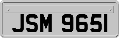 JSM9651
