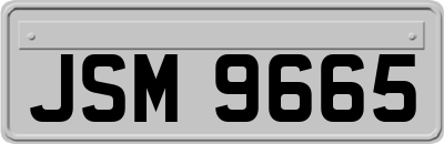 JSM9665