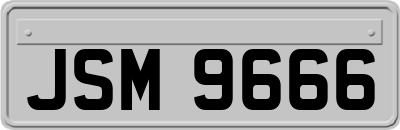 JSM9666