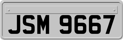 JSM9667