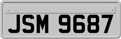 JSM9687