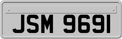JSM9691
