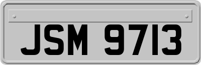 JSM9713