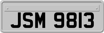 JSM9813