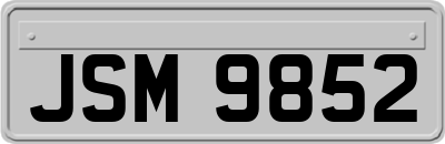 JSM9852