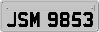 JSM9853