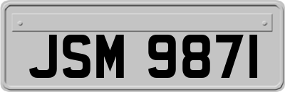 JSM9871