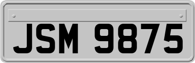 JSM9875