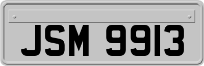 JSM9913
