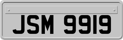 JSM9919