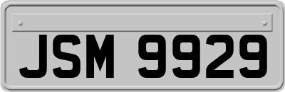 JSM9929