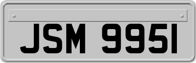 JSM9951
