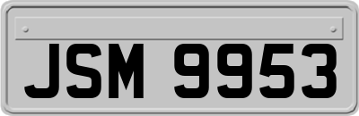 JSM9953