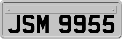 JSM9955