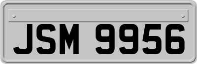 JSM9956