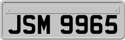 JSM9965