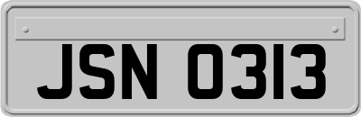 JSN0313