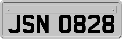 JSN0828