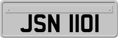 JSN1101