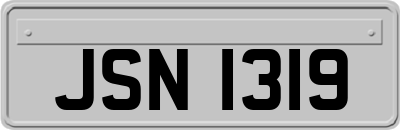 JSN1319
