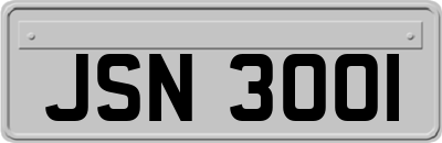 JSN3001