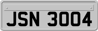 JSN3004