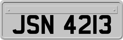 JSN4213