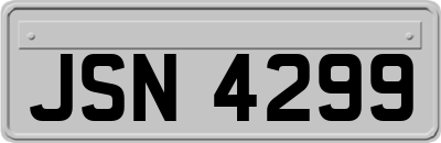 JSN4299