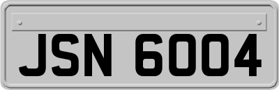 JSN6004