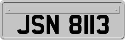 JSN8113