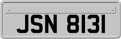 JSN8131