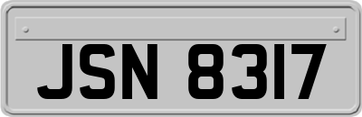 JSN8317