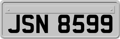 JSN8599