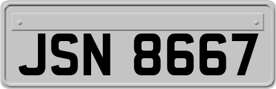 JSN8667