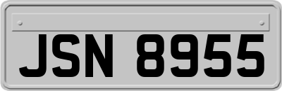JSN8955
