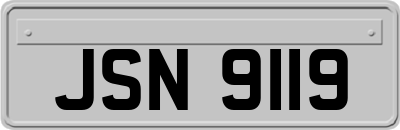 JSN9119