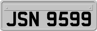 JSN9599