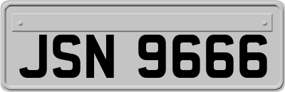 JSN9666