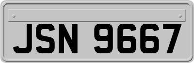 JSN9667