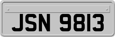 JSN9813