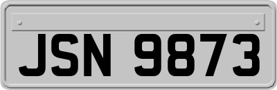 JSN9873