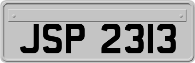 JSP2313