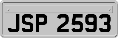 JSP2593