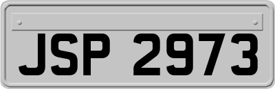 JSP2973