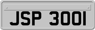 JSP3001