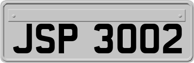 JSP3002