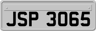 JSP3065