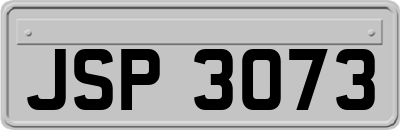 JSP3073