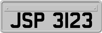 JSP3123