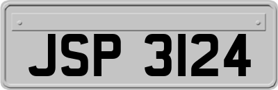JSP3124